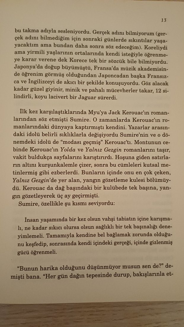 Sputnik Sevgilim - Haruki Murakami - Görsel 3