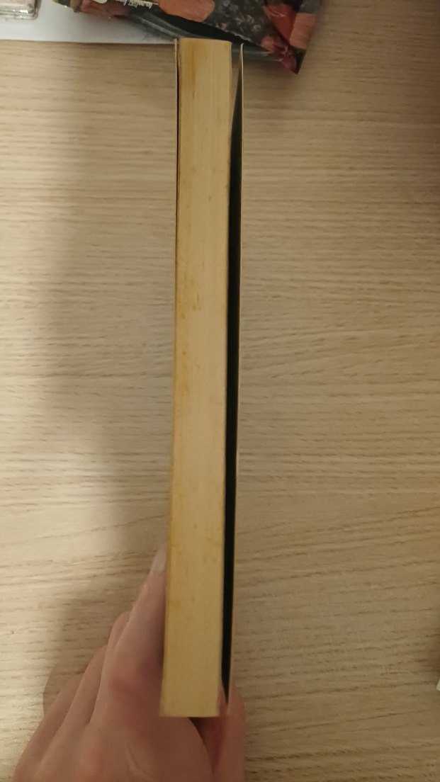 Séraphita - Balzac - Görsel 3