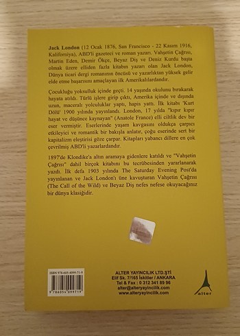 Martin Eden - Jack London Roman - Görsel 2