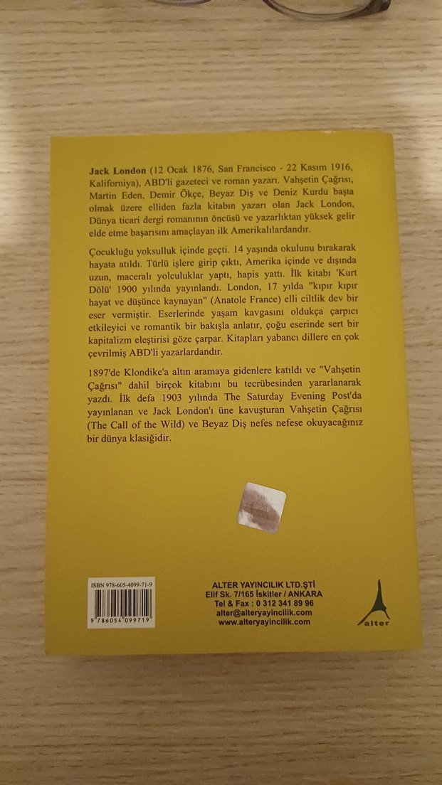 Martin Eden - Jack London Roman - Görsel 2