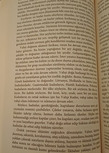 Kurtlarla Koşan Kadınlar - Vahşi Kadın Arketipi - Görsel 5