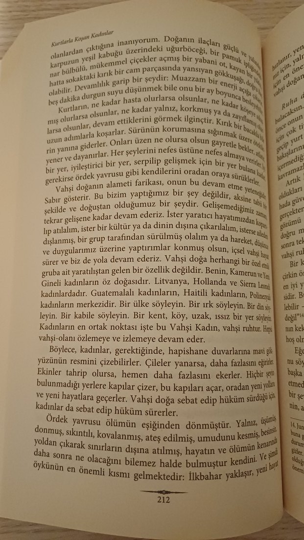 Kurtlarla Koşan Kadınlar - Vahşi Kadın Arketipi - Görsel 5