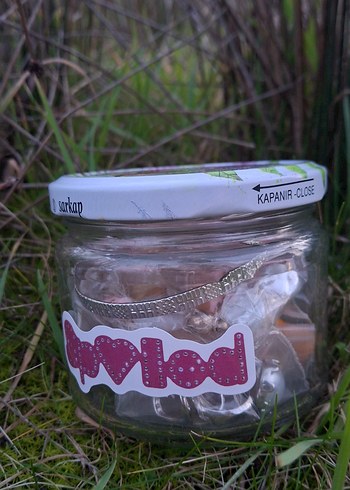 Silver Takı Kavanoz - Görsel 3