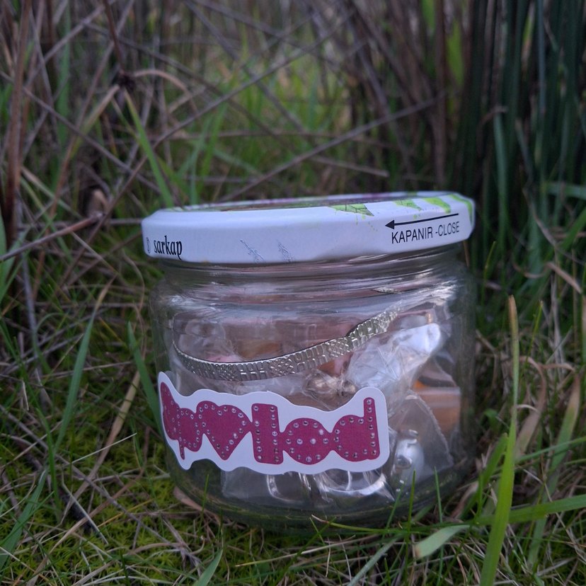 Silver Takı Kavanoz - Görsel 3