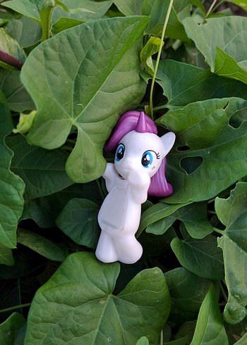 MY LİTTLE PONY SONNY