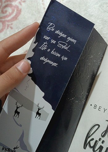 Kar Küresi - Beyza Alkoç - Görsel 2