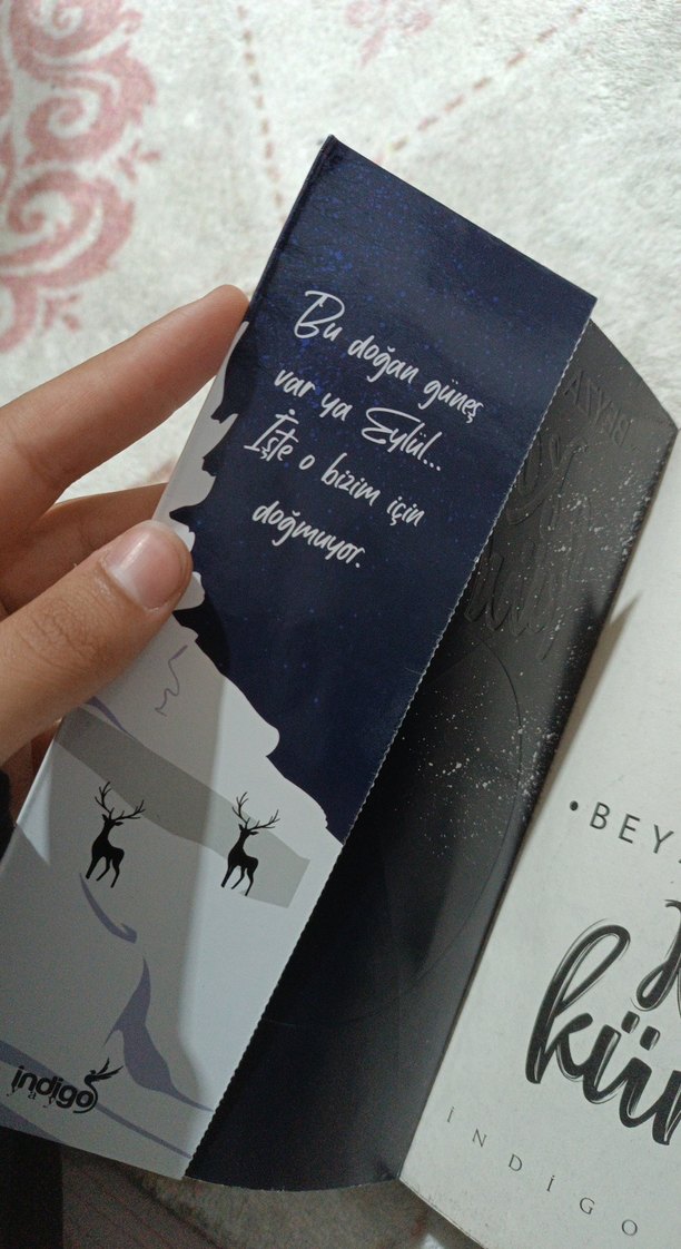 Kar Küresi - Beyza Alkoç - Görsel 2