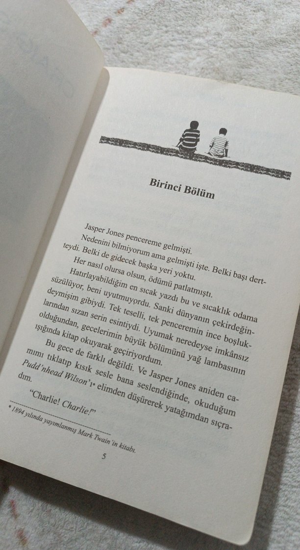 Tanrı'nın Unutulan Çocukları - Craig Silvey - Görsel 3