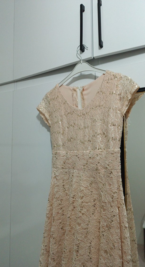 Bej Dantelli V Yakalı Uzun Abiye Elbise - Görsel 5