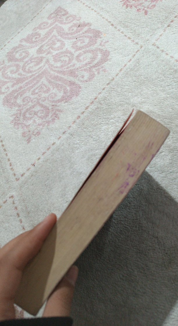 Ateş Denizi - Beşir Ayvazoğlu - Görsel 3