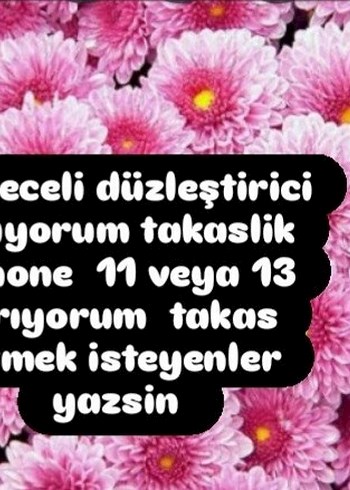 takasss