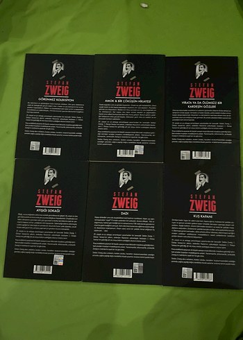Stefan Zweig 6 Kitap Seti - Klasik Romanlar - Görsel 3