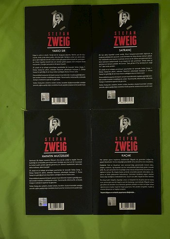 Stefan Zweig 6 Kitap Seti - Klasik Romanlar - Görsel 4