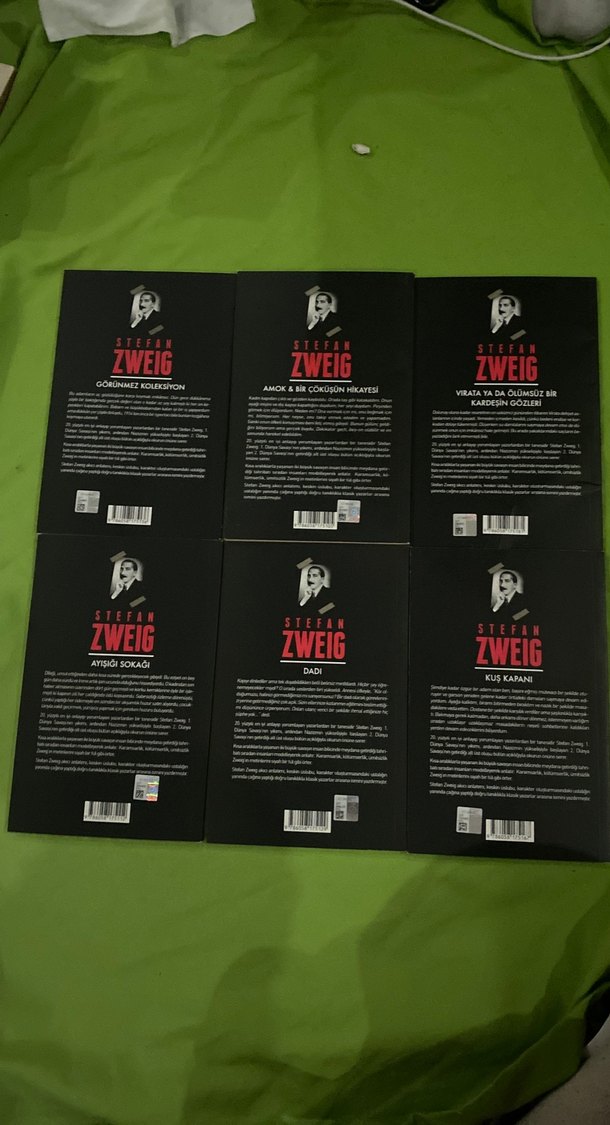 Stefan Zweig 6 Kitap Seti - Klasik Romanlar - Görsel 3