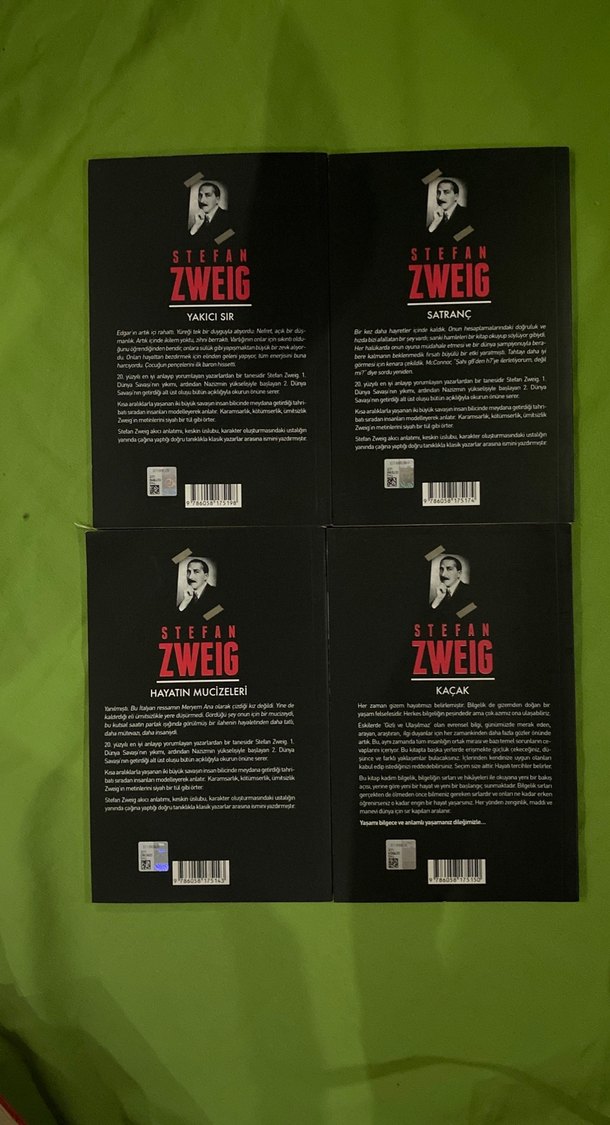 Stefan Zweig 6 Kitap Seti - Klasik Romanlar - Görsel 4