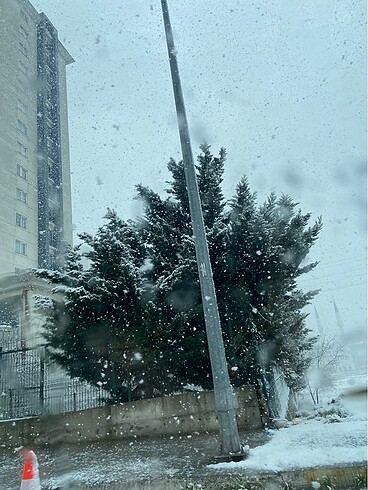 Şal eşarp