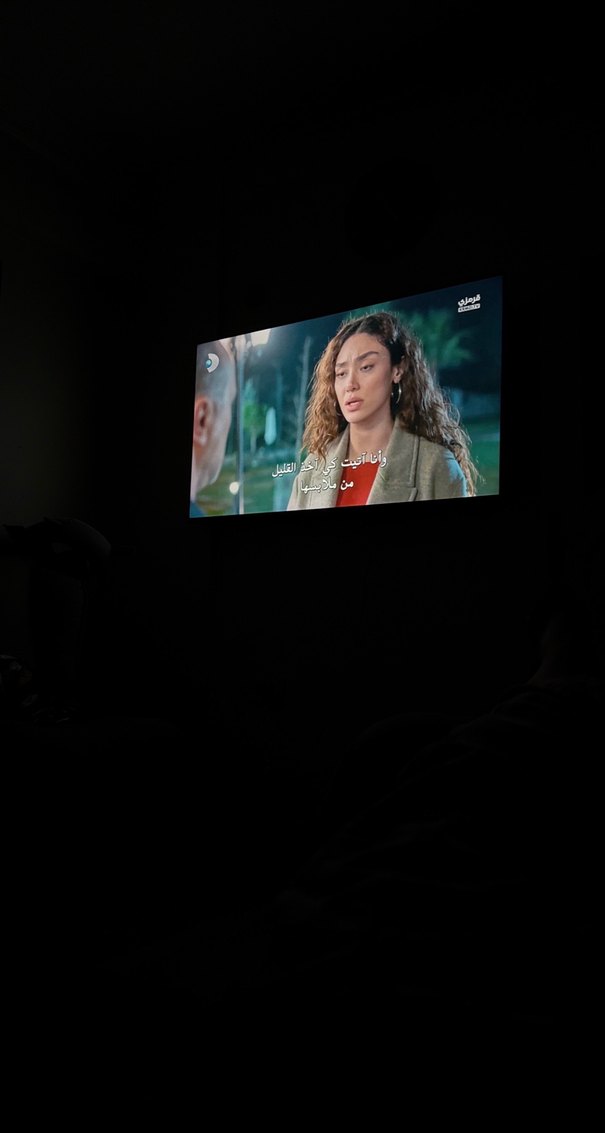 Camel Renkli Monitör - Görsel 2