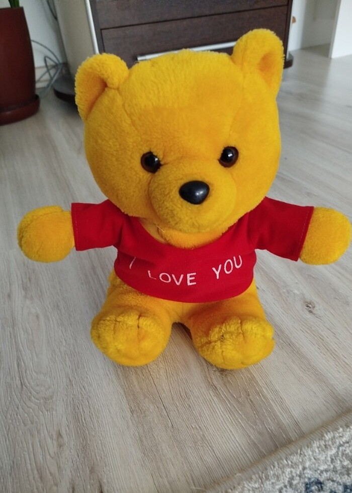 Oyuncak ayı - Görsel 3