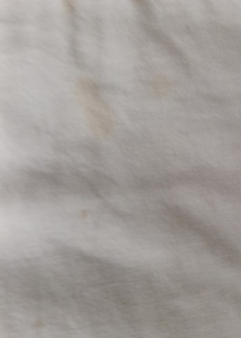 Kısa Kollu Beyaz Pamuklu Tişört - Görsel 3