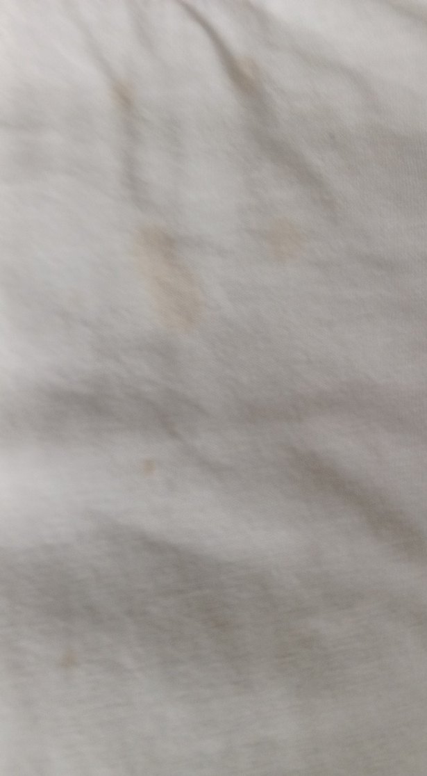 Kısa Kollu Beyaz Pamuklu Tişört - Görsel 3