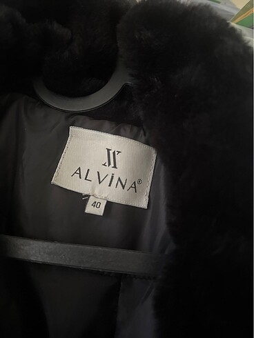 Alvina yenı