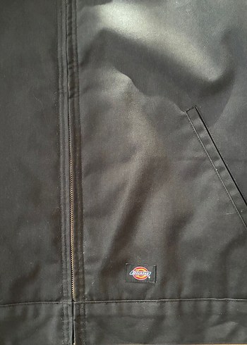 Dickies Eisenhower Worker Ceket - Görsel 2