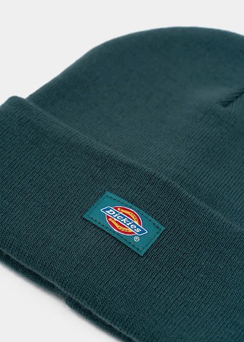 Dickies Bere - Görsel 2