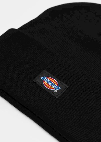 Dickies Bere - Görsel 2