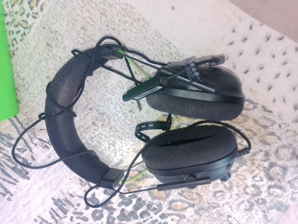 Razer BlackShark V2 Temiz (V2X'le karıştırmayın) - Görsel 3