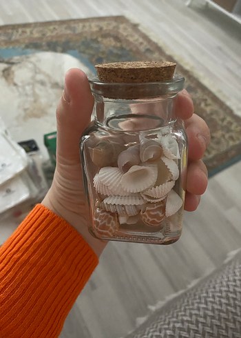 Küçük Beyaz Deniz Kabukları Şişesi - Görsel 4