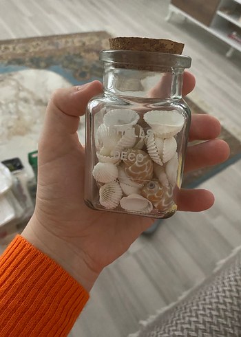 Küçük Beyaz Deniz Kabukları Şişesi - Görsel 5