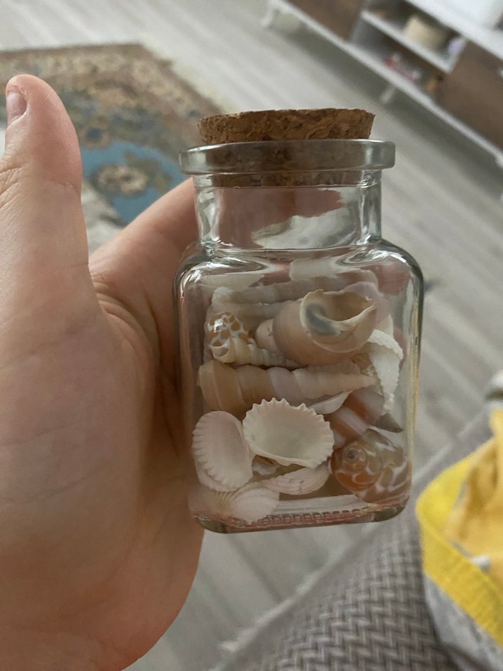 Küçük Beyaz Deniz Kabukları Şişesi - Görsel 3