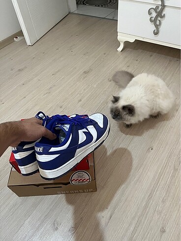 DUNK LOW SIFIR
