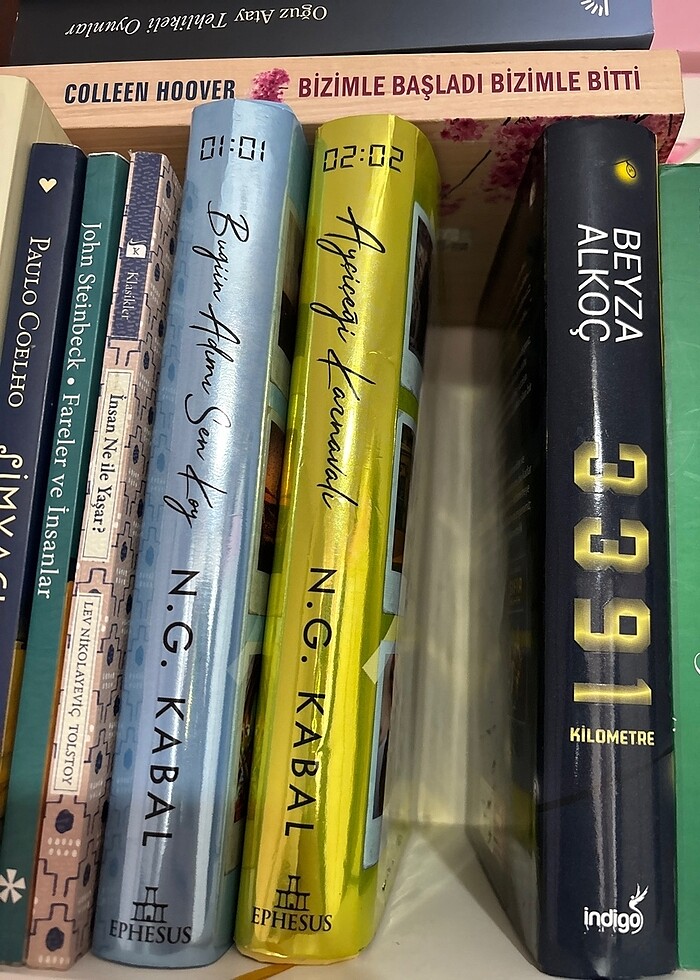 Ayçiçeği karnavalı ciltli - Görsel 3