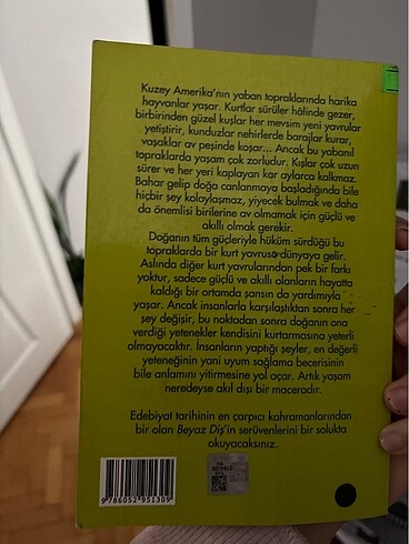  Beyaz diş