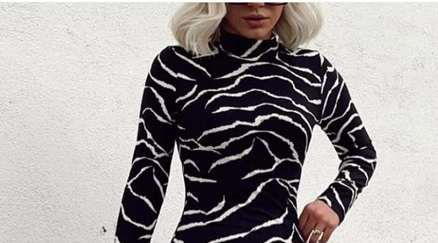 Zebra bady