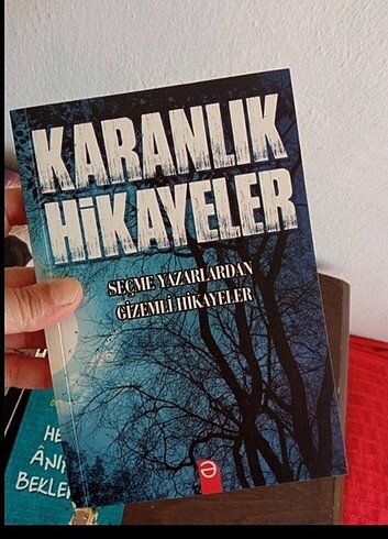  Beden Renk Roman