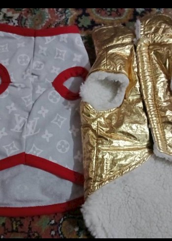 Altın Renkli Kürklü Nakışlı Köpek Kıyafeti