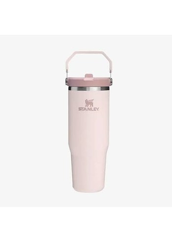 Stanley Gri Çocuk Termos Şişesi - Görsel 2