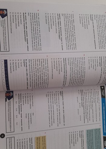 Beden Planet Türk Dili ve Edebiyatı Soru Bankası 10. Sınıf