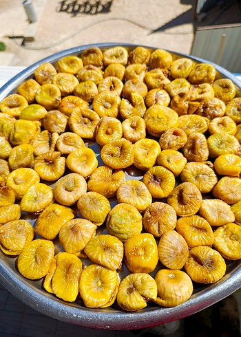 KURU İNCİR