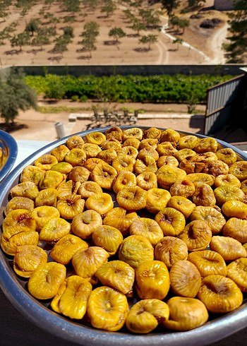 BALLI KURU İNCİR