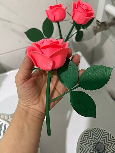 Diğer Gül ve Vazo