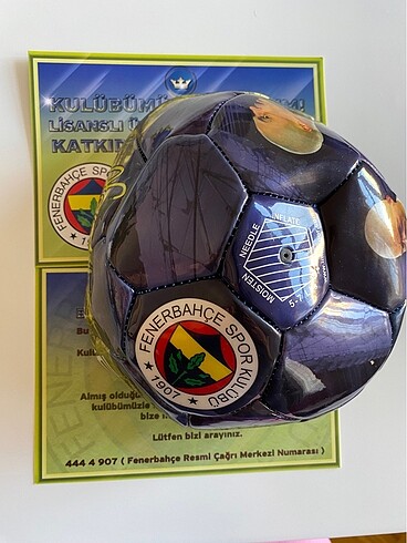 Fenerbahçe futbol topu
