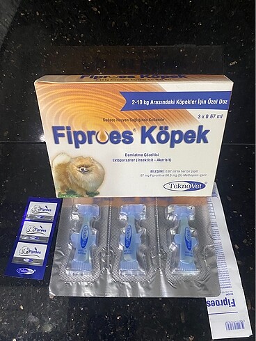 Fibroes köpek dış parazit