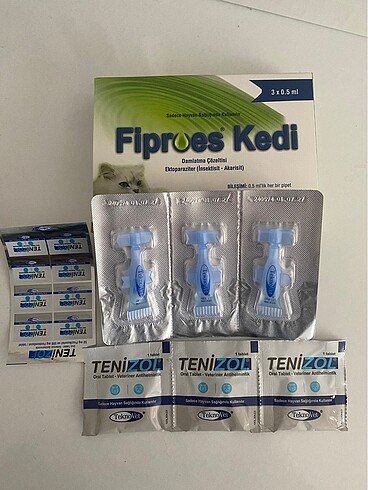 Kedi iç dış parazit