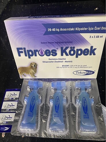 Fibroes köpek dış parazit
