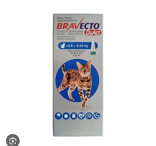 Bravecto kedi iç dış parazit bit pire kene vb