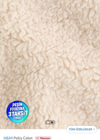 H&M Bej Fermuarlı Yüksek Yakalı Kadın Ceketi - Görsel 3