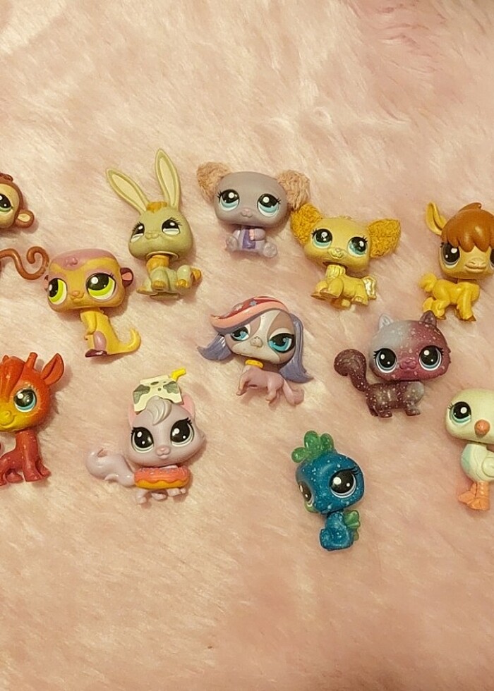 LPS Minişler - Görsel 2